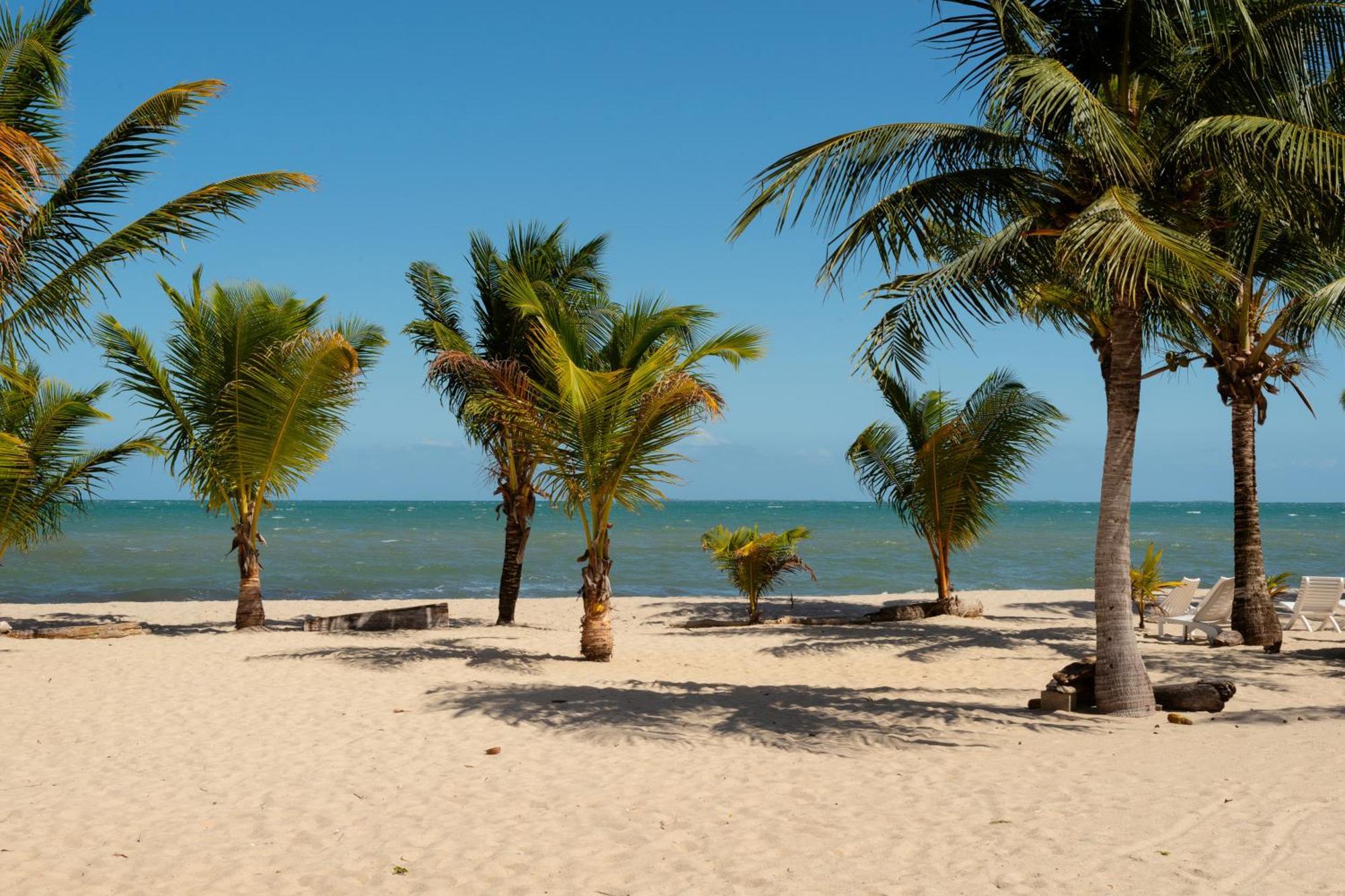 Sandy Feet Beach Resort Placencia Esterno foto